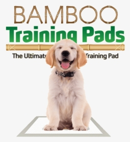 Bamboo Training Pads - Companion Dog, HD Png Download, Free Download