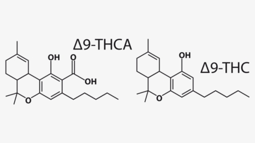 Δ9 Thca And Δ9 Thc Molecules - Delta 8 Molecular Structure, HD Png Download, Free Download