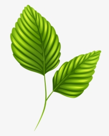 Two Green Png Image - Two Green Leaves Clipart, Transparent Png, Free Download