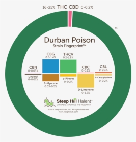 Durban Poison Cannanbinoid Profile - Super Lemon Haze Terpenes, HD Png Download, Free Download