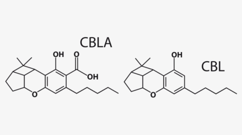 Cbla And Cbl Molecules - Epigallocatechin 3 Gallate, HD Png Download, Free Download