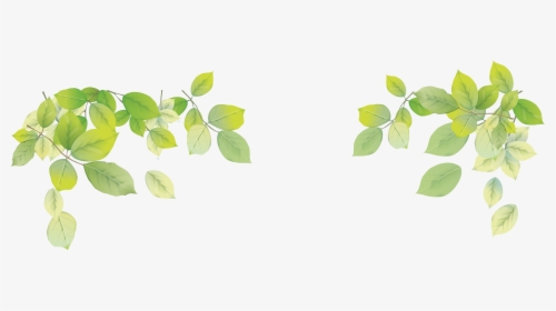 Transparent Png Leaf - Transparent Background Leaves Png, Png Download, Free Download