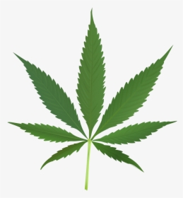 Cannabis Png, Transparent Png, Free Download