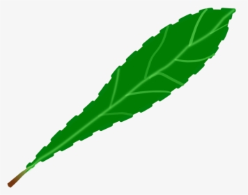 Drawing Leaf Computer Icons Green Watercolor Painting - Clip Art, HD Png Download, Free Download