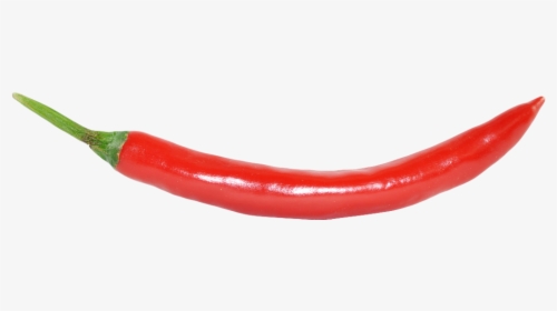 Single Green Chilli Png - Long Red Chilli Png, Transparent Png, Free Download