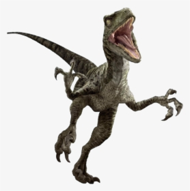 Jurassic World Dinosaur Png Png Download Jurassic World - Jurassic World Velociraptor Png, Transparent Png, Free Download