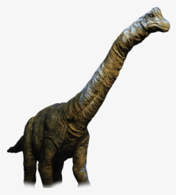 Real Dinosaur Png, Transparent Png, Free Download