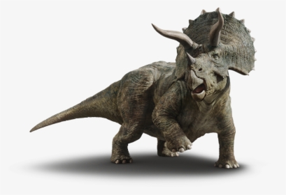 Dinosaur Png Free Pic - Jurassic World Dinosaurs Triceratops, Transparent Png, Free Download