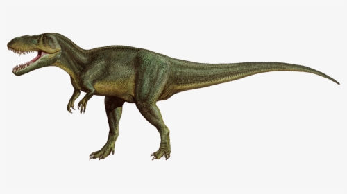 Sergey Krasovskiy Torvosaurus, HD Png Download, Free Download