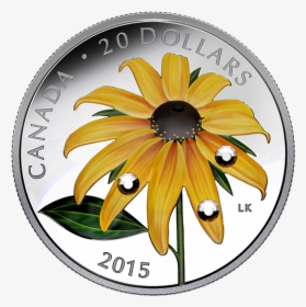 Canadian Flower Coins, HD Png Download, Free Download
