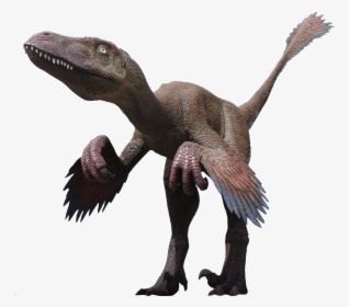 Velociraptor Png Clipart - Deinonychus Png, Transparent Png, Free Download