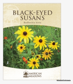 Black-eyed Susan, HD Png Download, Free Download