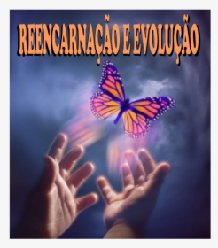 Hands Setting Free Butterfly, HD Png Download, Free Download