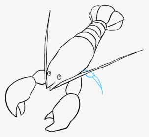 How To Draw Lobster - American Lobster, HD Png Download, Free Download