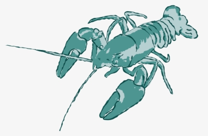 "signal Crayfish" - American Lobster, HD Png Download, Free Download