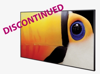 Tucano, HD Png Download, Free Download