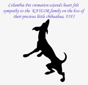 Italian Greyhound Run Illustration, HD Png Download, Free Download