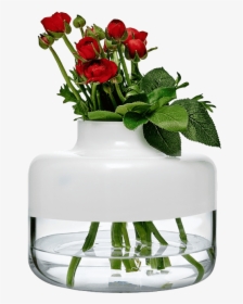 Magnolia Vase 240/200 Mm - Vase, HD Png Download, Free Download