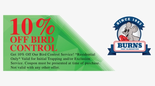 Pest Elimination Coupons-01 - Graphic Design, HD Png Download, Free Download