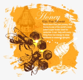 Kiss The Flower Honey Benefit - Wine Vintage Background Vector, HD Png Download, Free Download