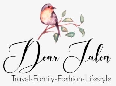Www - Dearjalen - Com - Finch, HD Png Download, Free Download