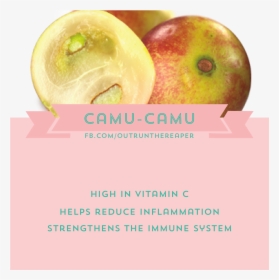 Camu-camu - Natural Foods, HD Png Download, Free Download