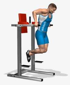 Dips For Chest - Exercise For The Whole Arm, HD Png Download, Free Download