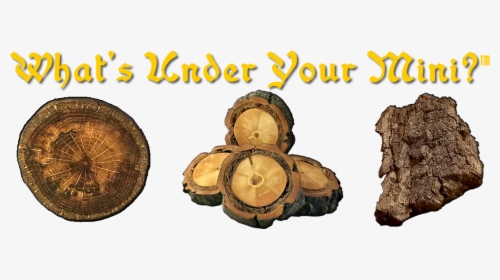 Com/product Category/woldstand/bark Slivers/ - Tree Stump, HD Png Download, Free Download