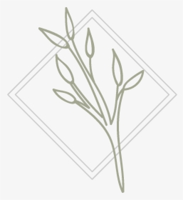 Jo Icon 1 - Sketch, HD Png Download, Free Download