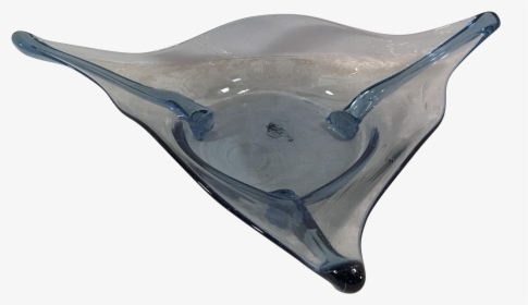 Stingray Transparent Underside Clipart , Png Download - Transparent Stingray, Png Download, Free Download