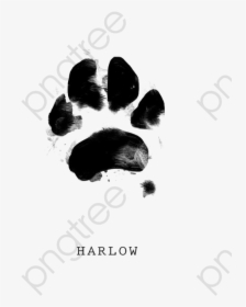 Dog Paw Png Watercolor Dog Paw Png Watercolor - Illustration, Transparent Png, Free Download