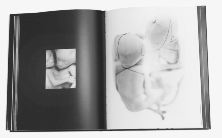 Books Ls 7 - Sketch, HD Png Download, Free Download