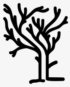 Tree Of Irregular Shape Branches On Winter Without - Tree Branches Without Leafs, HD Png Download, Free Download