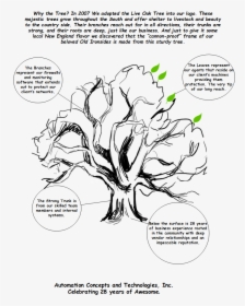 Why The Tree - Cartoon, HD Png Download, Free Download