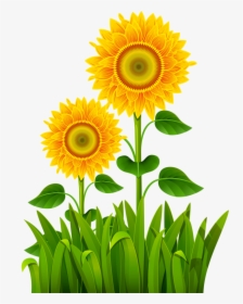 Flower Pictures, Flower Art, Clip Art, Farms, Paintings, - Cartoon Transparent Green Grass, HD Png Download, Free Download