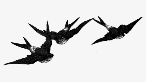 Digital Birds Flying Image Transfer Download - Vintage Bird Clip Art, HD Png Download, Free Download