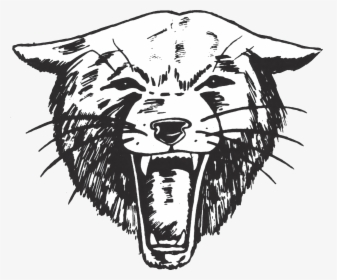 Paso Robles Football And Swim Coaches Let Go - Paso Robles High School Bearcat, HD Png Download, Free Download