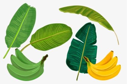 Banana Leaf Sadhya Transprent Png Free Download - Banana Leaf Illustration, Transparent Png, Free Download