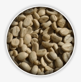 Serve Your Customers The Freshest Coffee - Seed, HD Png Download, Free Download