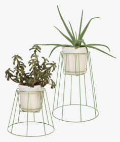 Plant Stand Cibele - Ok Design Cibele Plant Stand Pflanzenständer Ok, HD Png Download, Free Download