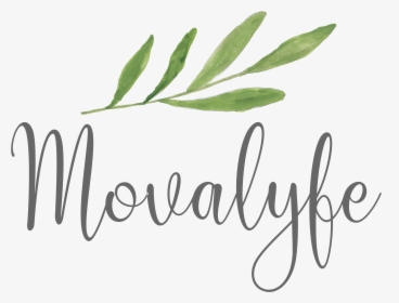 Movalyfe Products - Calligraphy, HD Png Download, Free Download