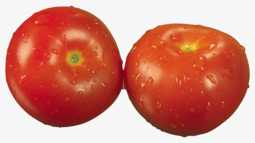 Red Tomatoes Png Image - Tomato, Transparent Png, Free Download