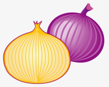 Red Onion, HD Png Download, Free Download