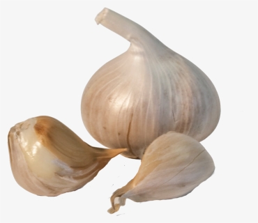Garlic Png Transparent Images - Garlic Png Transparent, Png Download, Free Download