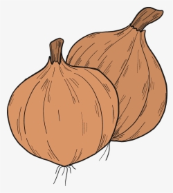 Shallot, HD Png Download, Free Download