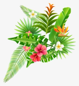 Strelitzia Reginae Parrot Flower - Illustration, HD Png Download, Free Download