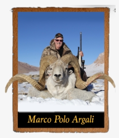 Your Next Adventure Begins Here - Largest Marco Polo Sheep, HD Png Download, Free Download