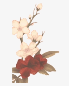 #flower#sm3iscoming #sm3 #shawnmendes #mendesarmy #freetoedit - Shawn Mendes Lost In Japan Flowers, HD Png Download, Free Download