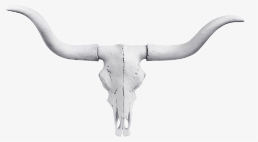 Longhorn Bull Skull, HD Png Download, Free Download