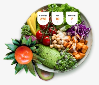 Hero Image - Food Veg Diet Protein, HD Png Download, Free Download